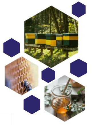 Bee conservation hexagon images